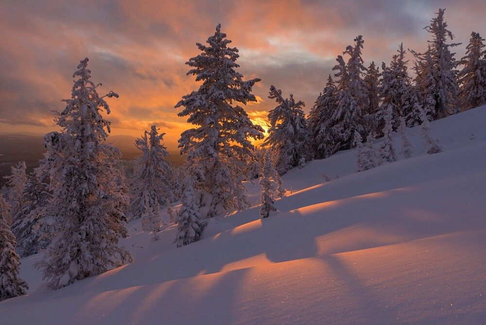 Photograph by Yuriy Maltsev