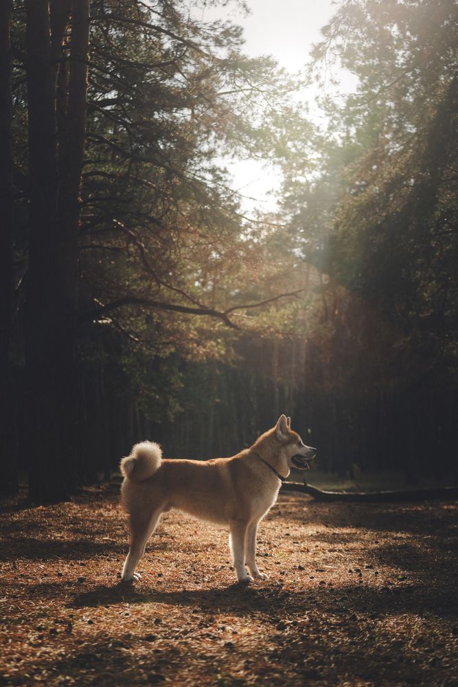 Photograph by Мария Семенова