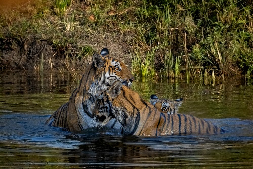 Photograph by hitesh chawla