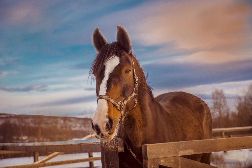 Photograph by Ольга Яскунова