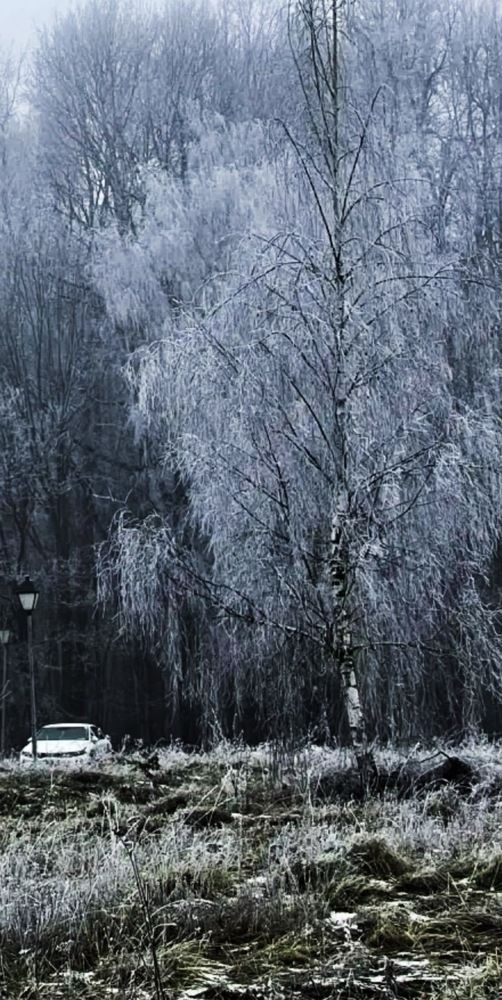 Фотография автора Елизавета Станкевич