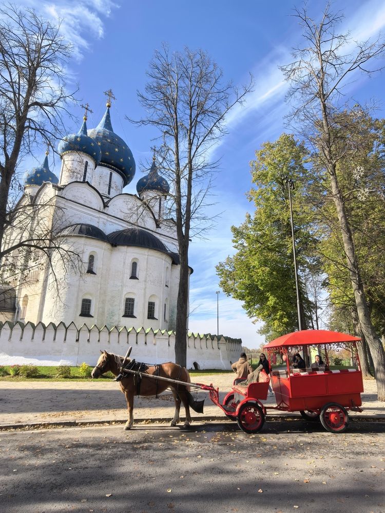 Фотография автора Елена Охапкина