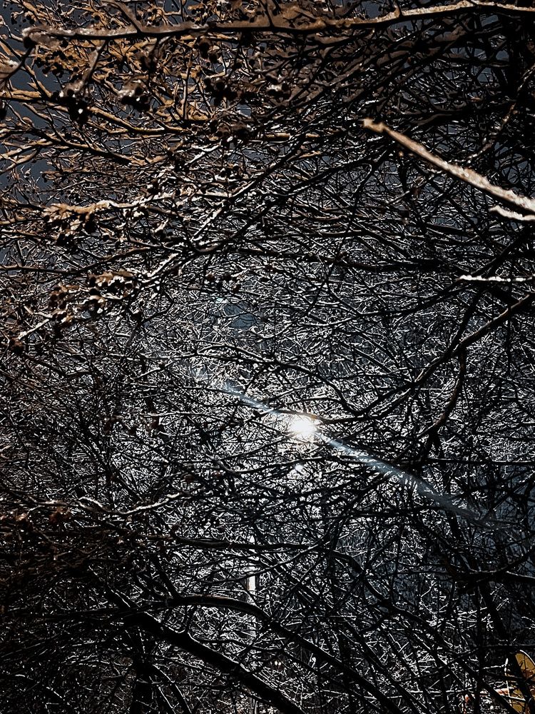 Фотография автора Елизавета Станкевич