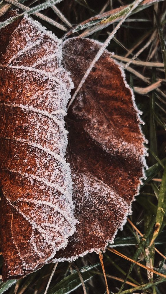 Photograph by Оксана Корепанова