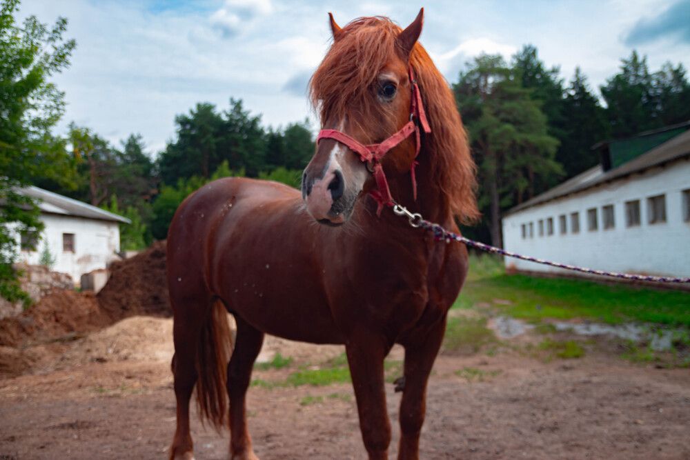 Photograph by Михаил Костыря