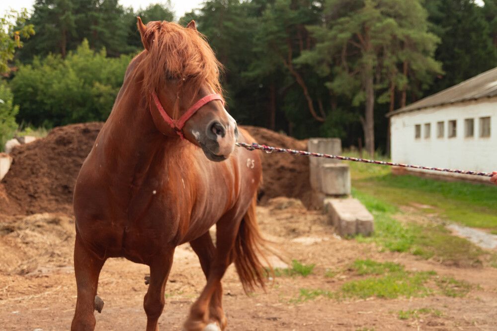 Photograph by Михаил Костыря