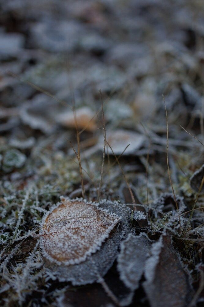 Photograph by Бальзирова Наталья