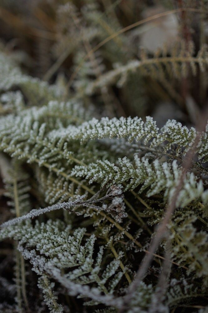 Photograph by Бальзирова Наталья