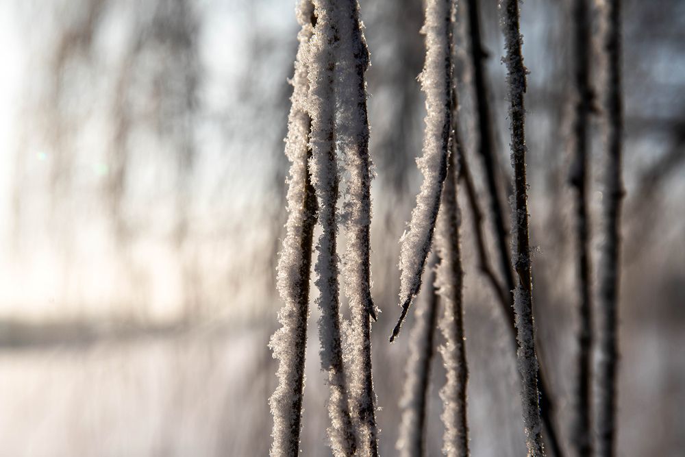 Photograph by Волынский Виктор