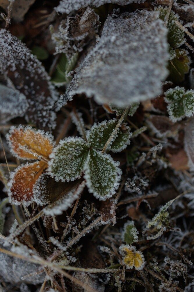 Photograph by Бальзирова Наталья