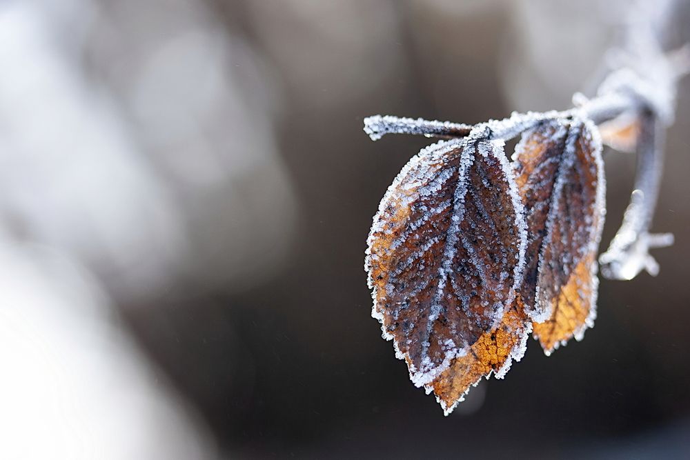 Photograph by Михаил Батурицкий
