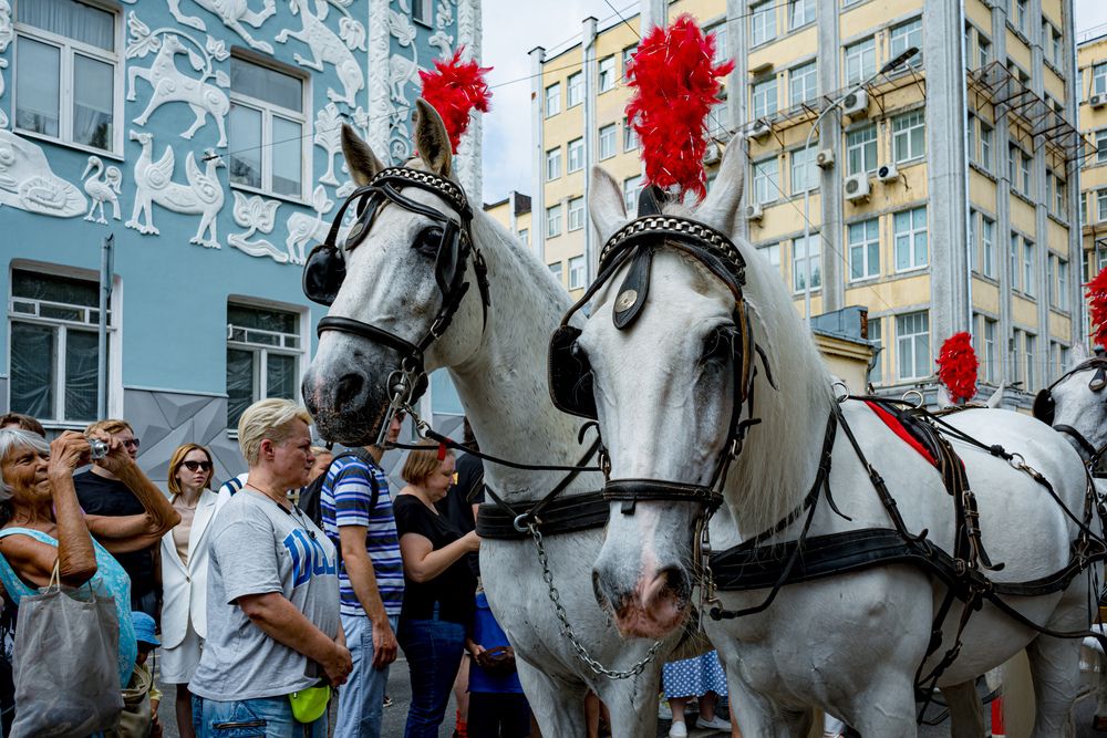 Фотография автора Арсений Крят