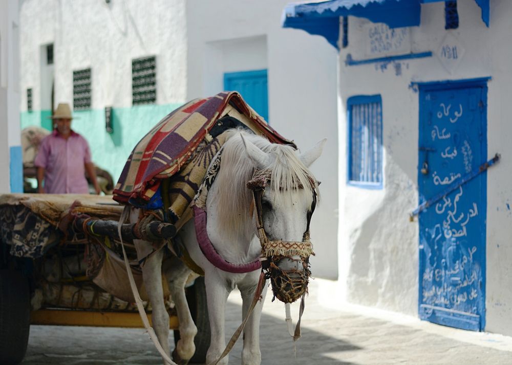 Photograph by Adrian Pablo Rosati