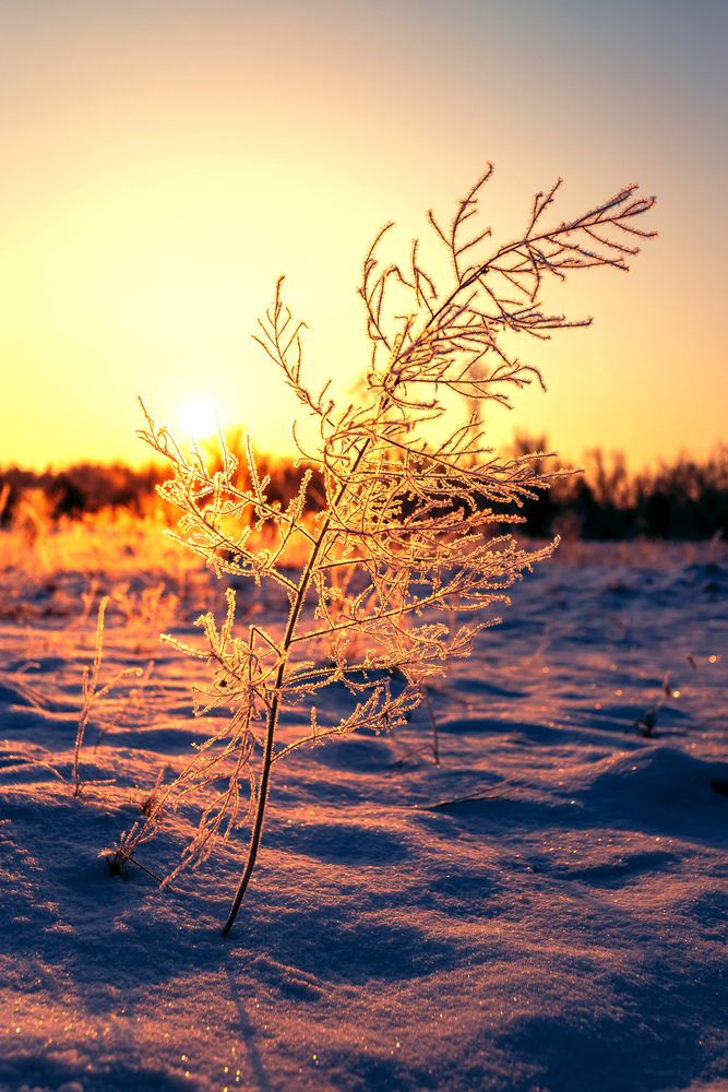 Photograph by Сергей Кочетов