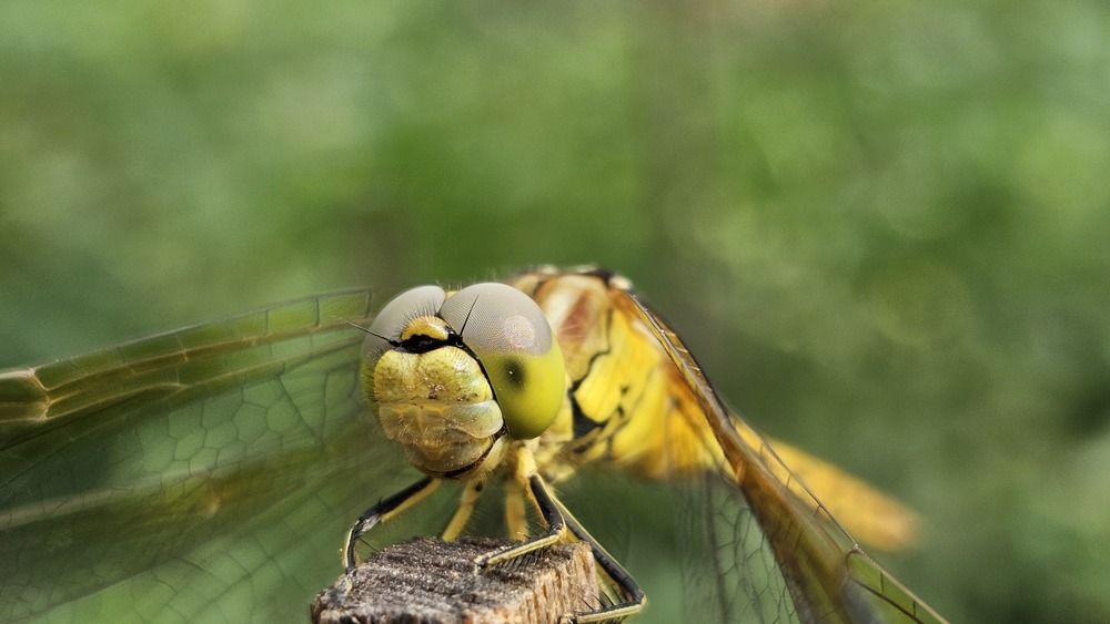 Photograph by Михайлов Юрий Анатольевич