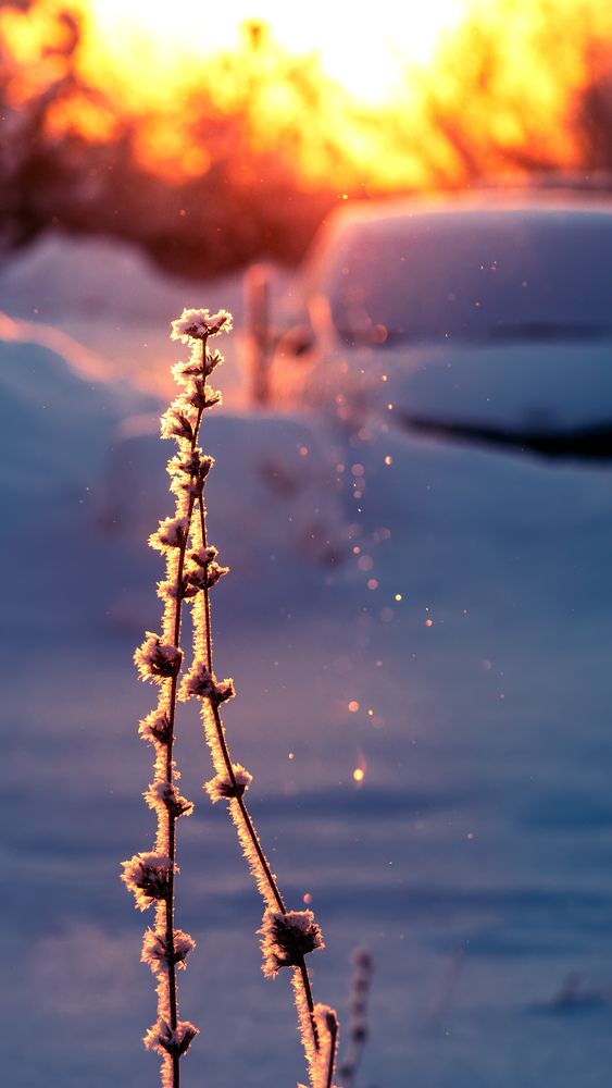 Photograph by Сергей Кочетов