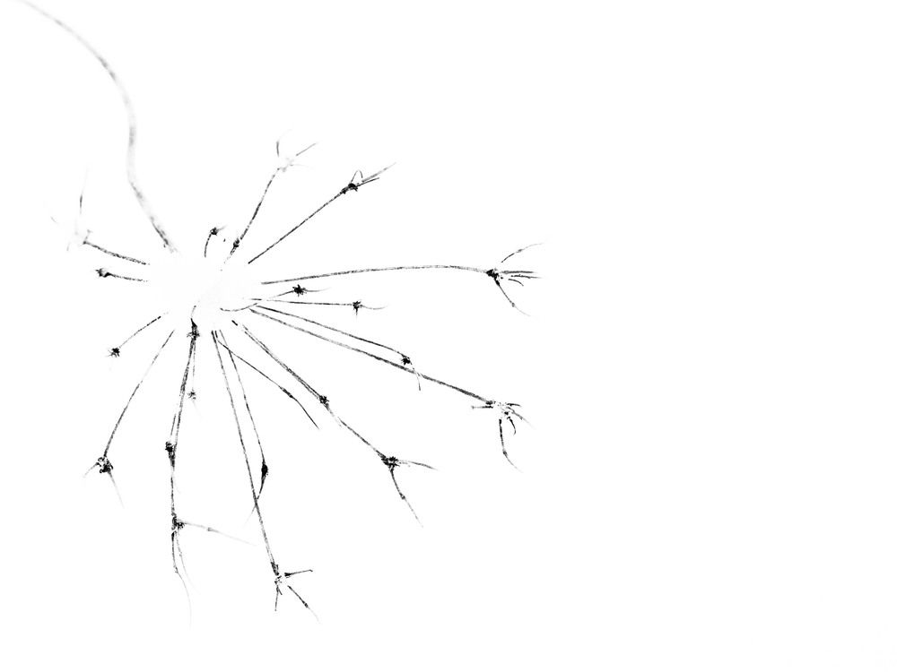 Photograph by Виктор Комиссаров