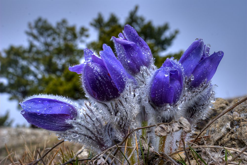 Photograph by Евгений Самулев