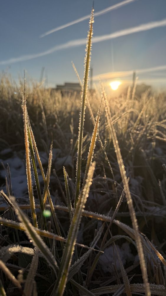 Photograph by Татьяна Михайлова