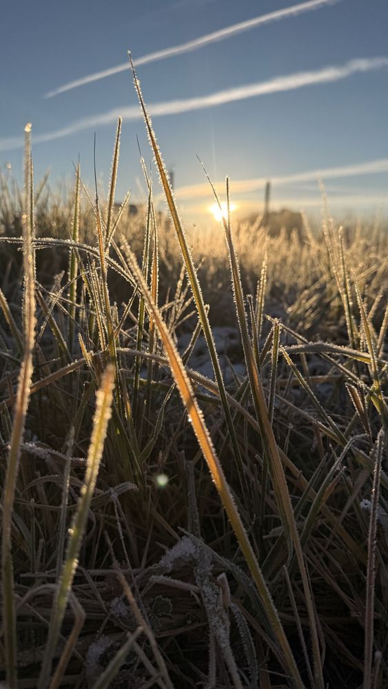 Photograph by Татьяна Михайлова