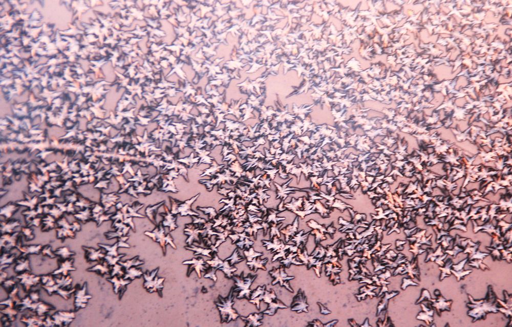 Фотография автора Светлана Терехова