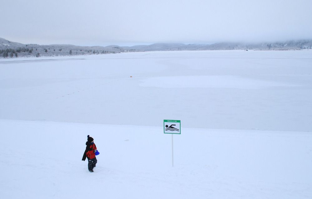 Фотография автора Светлана Терехова