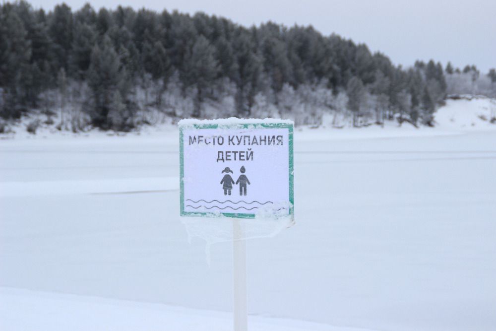 Фотография автора Светлана Терехова