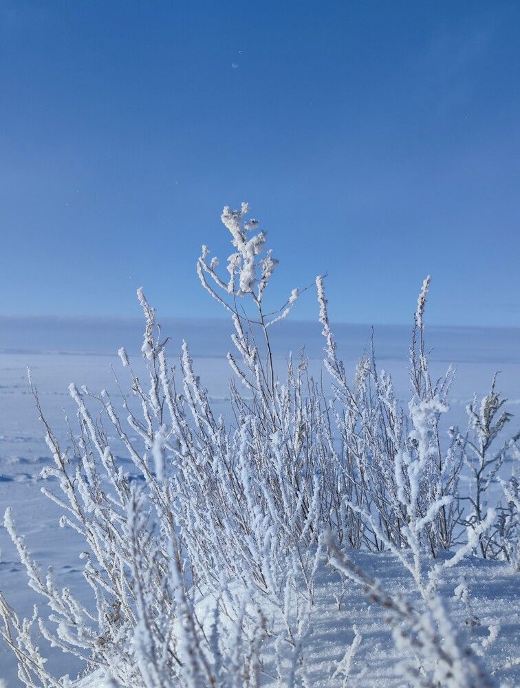 Photograph by Светлана Рубцова