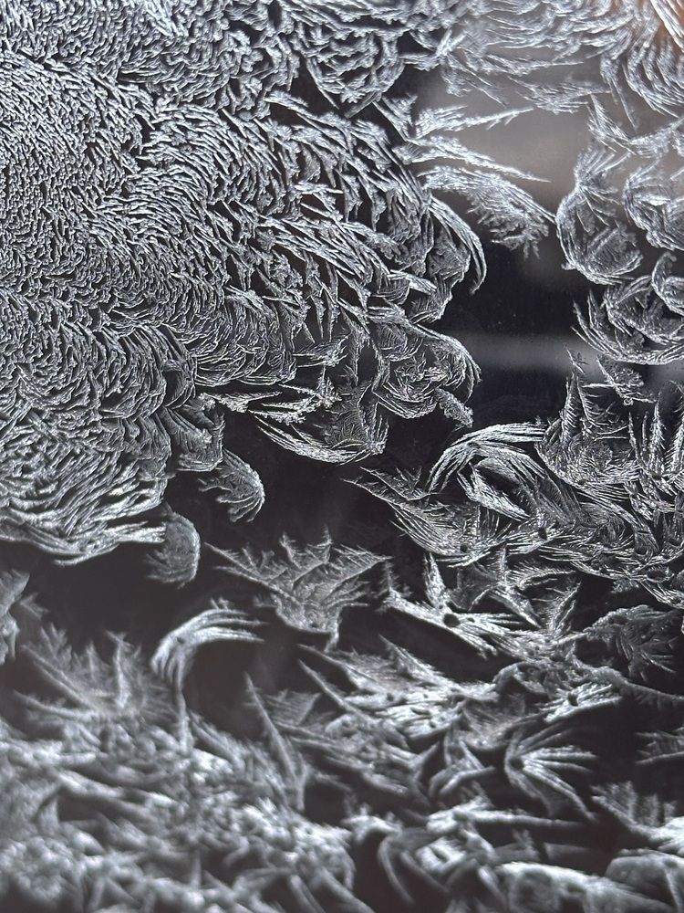 Photograph by Svetlana Tolkunova