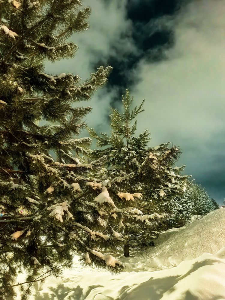 Photograph by Натали Ридель