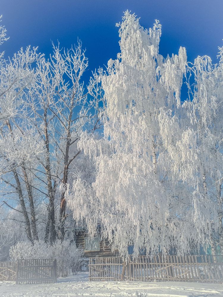 Photograph by Натали Ридель