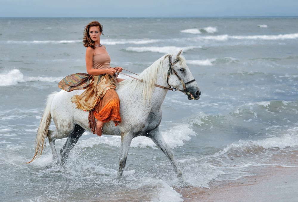 Фотография автора Александр Друкар