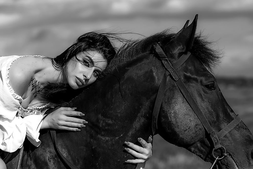 Фотография автора Александр Друкар