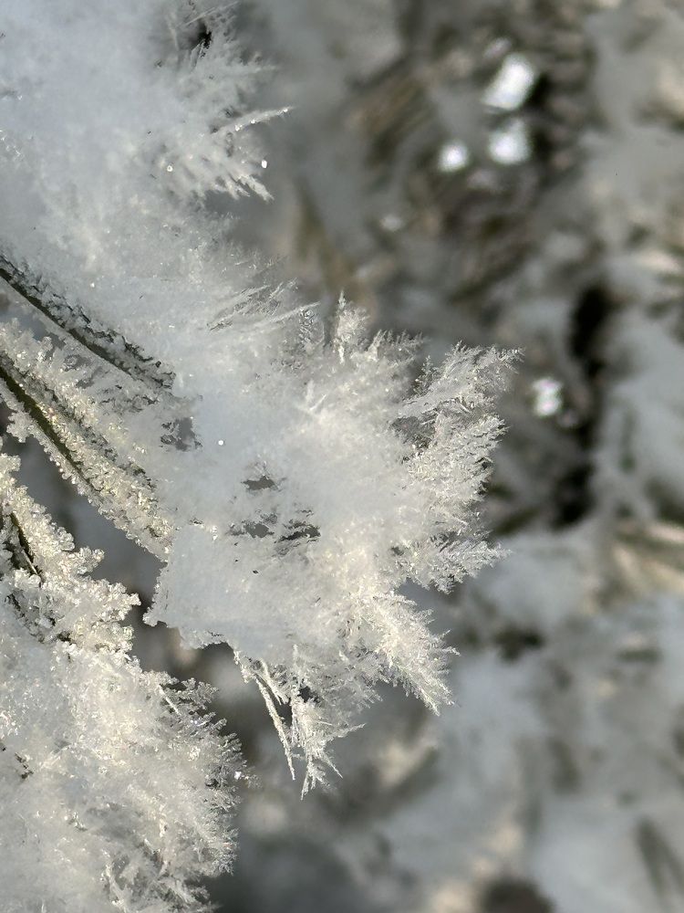 Photograph by Svetlana Tolkunova