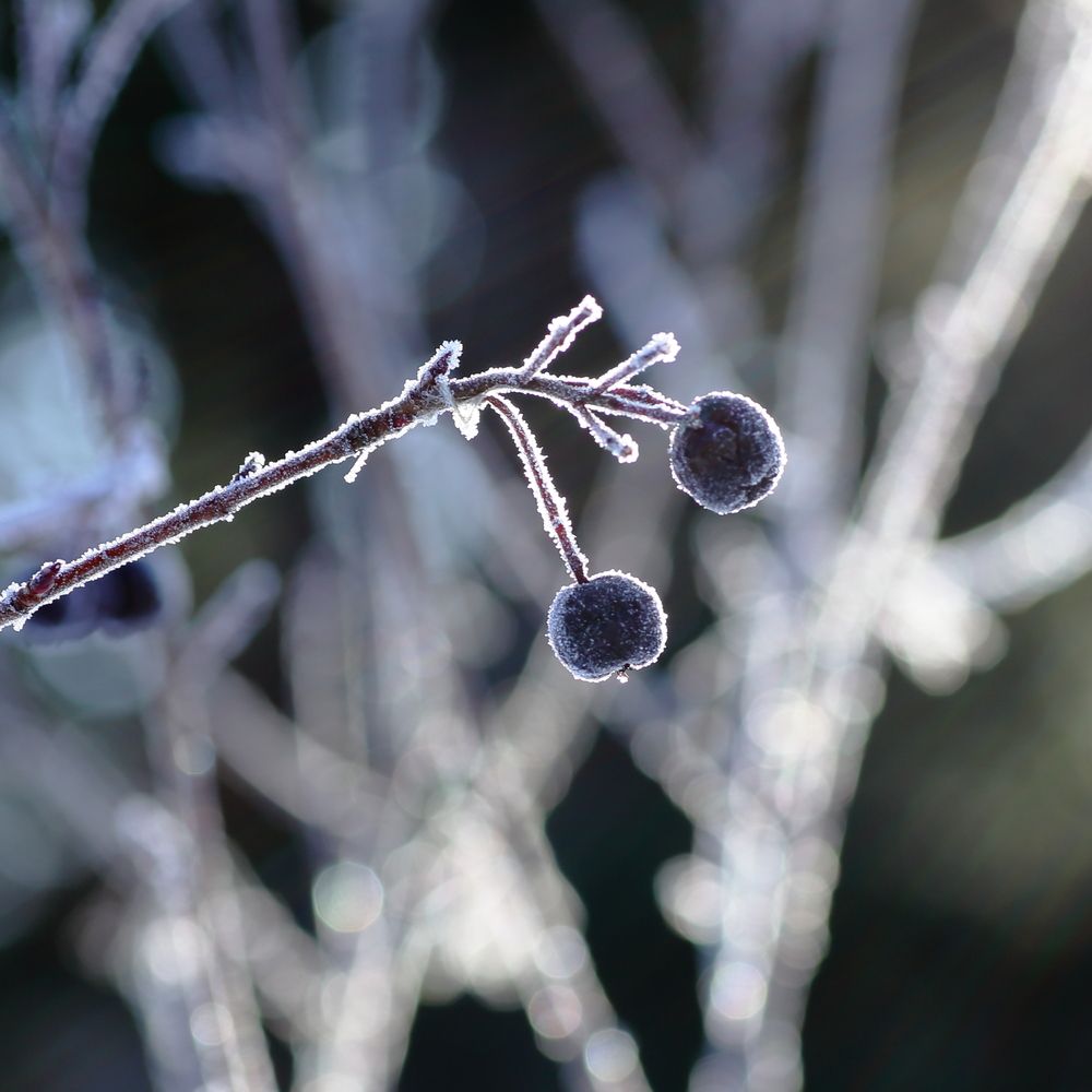 Photograph by Александр Полюдов