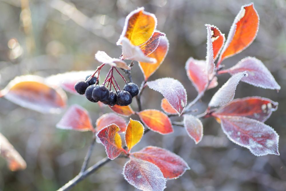 Photograph by Александр Полюдов