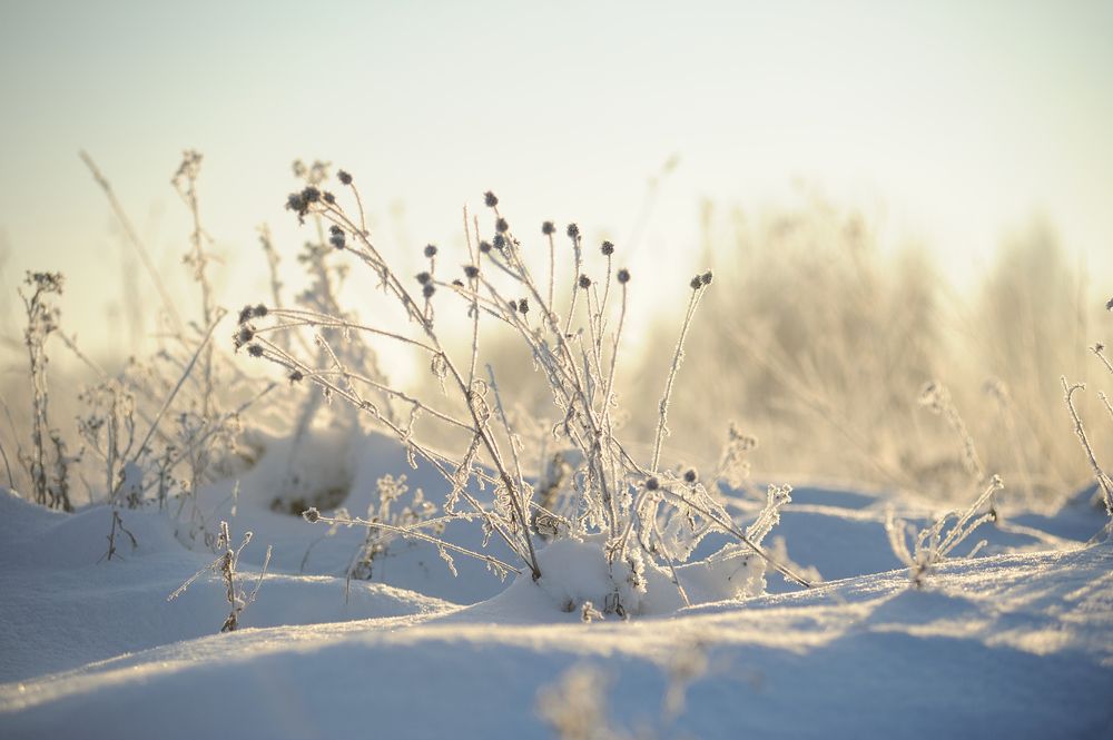 Photograph by Михаил Кинеев