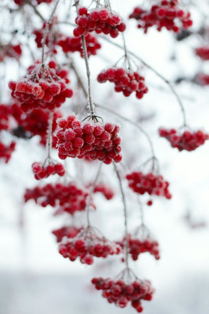 Photograph by Анна Зайченко