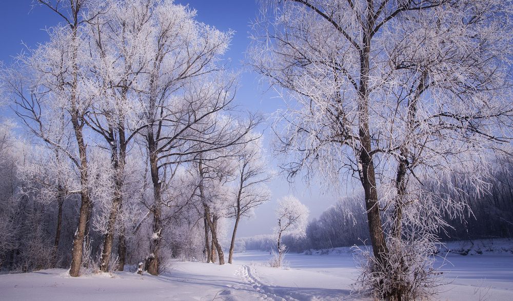 Фотография автора Татьяна Добровольская