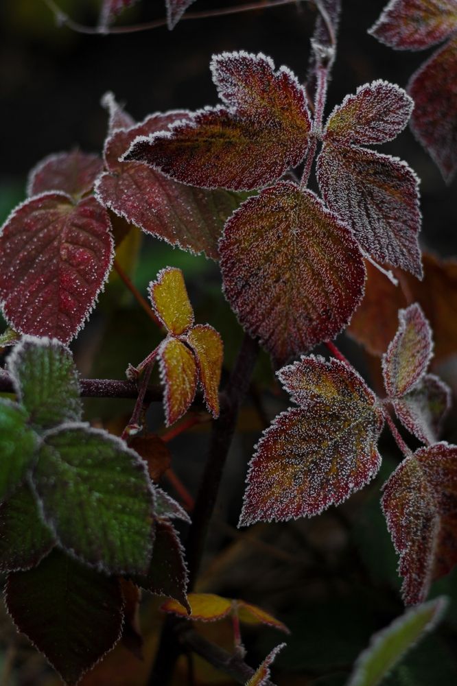 Photograph by Анна Зайченко