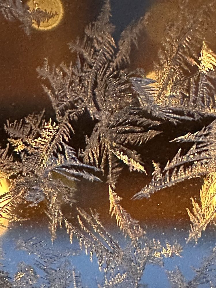 Photograph by Svetlana Tolkunova