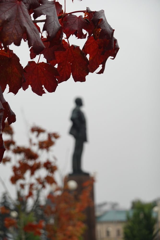 Photograph by Светлана Каравайская