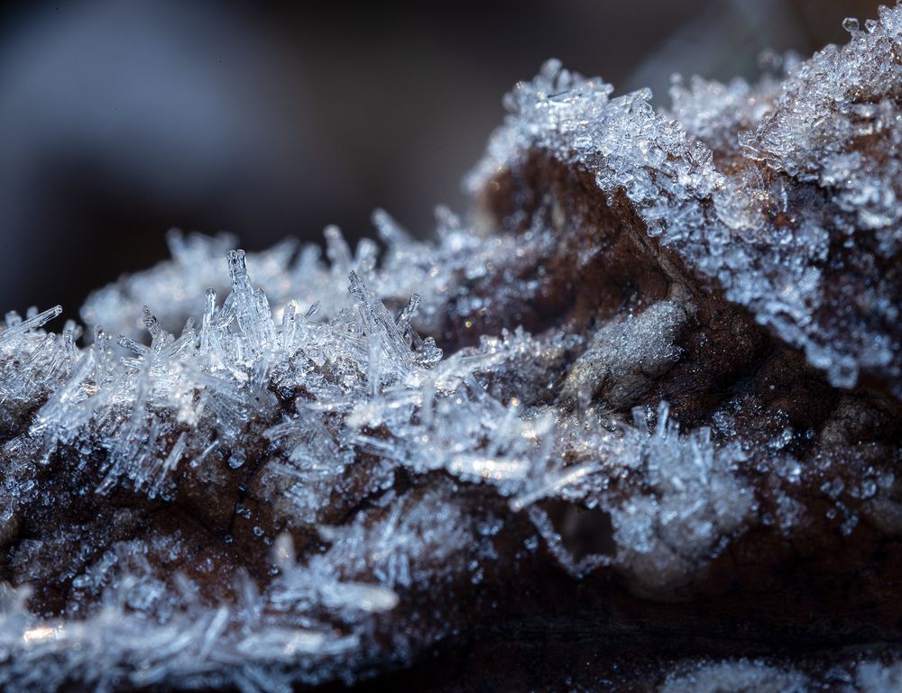 Photograph by Valdir Hobus