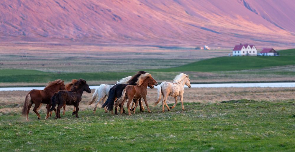 Photograph by Vorobeychik Vladimir