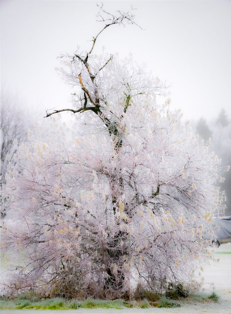 Photograph by Сергей Забиякин