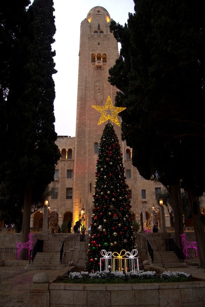 Фотография автора Ella