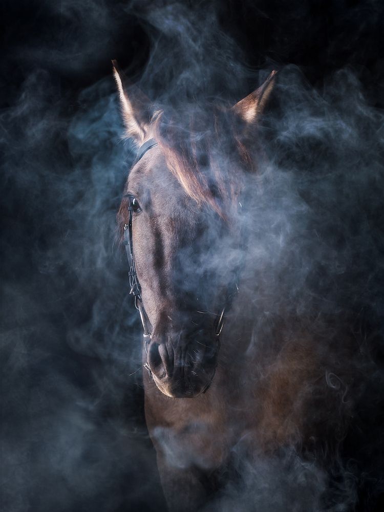 Photograph by Lozhkin Vyacheslav