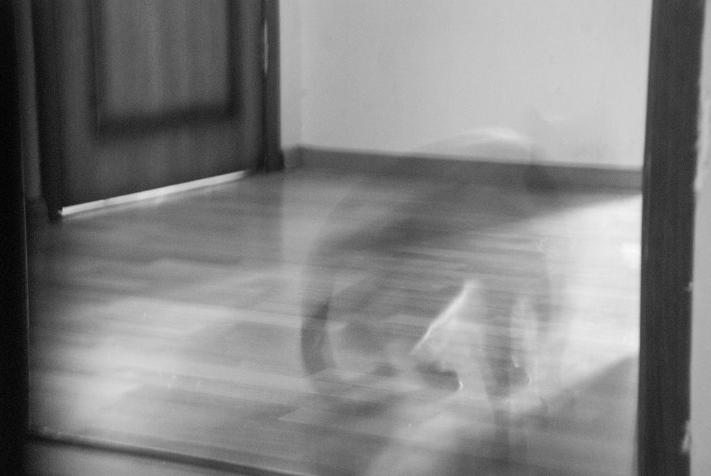 Photograph by Милена Полтавец