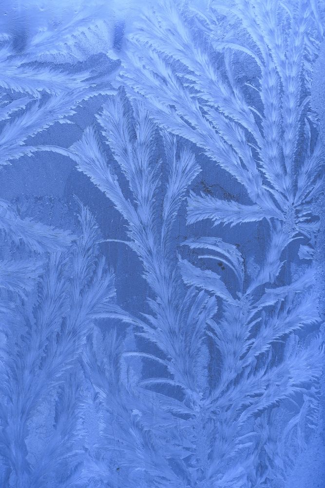 Photograph by Орл Про