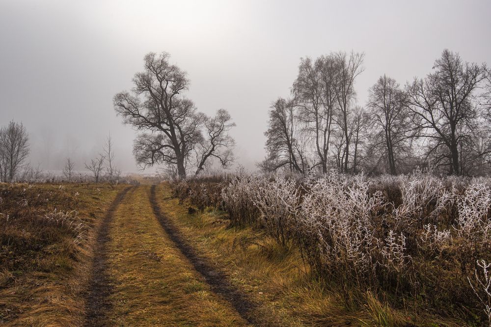 Photograph by Илфир Исламгазин